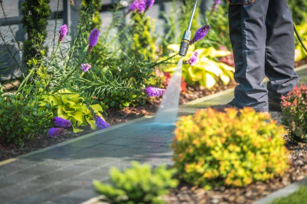 Best Spring Cleaning  in Gretna, FL