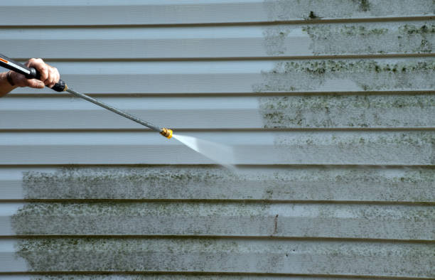 Animal Enclosure Cleaning in Gretna, FL